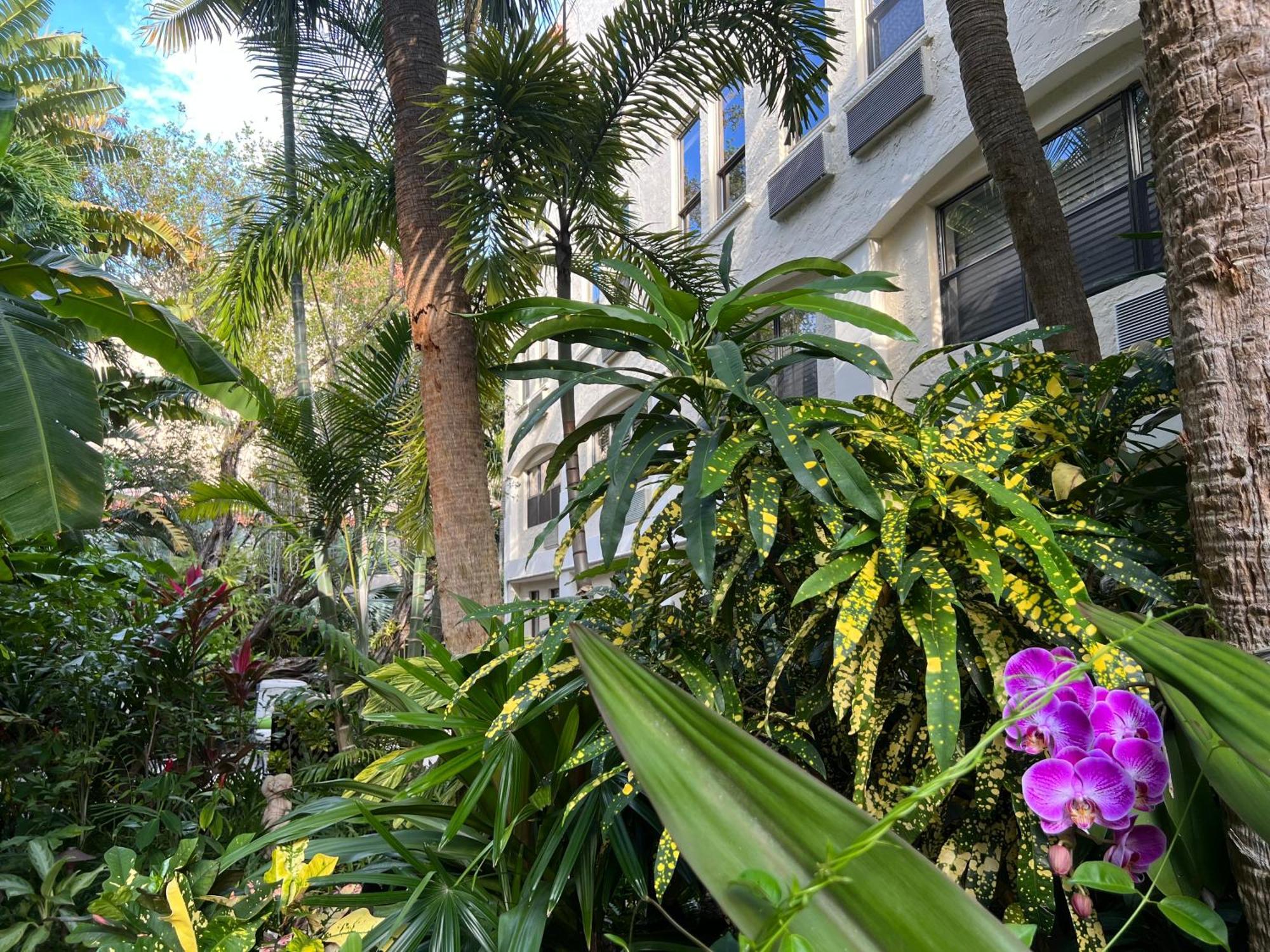 Orchid Suites - Historic Palm Beach Hotel Condominium Exterior foto